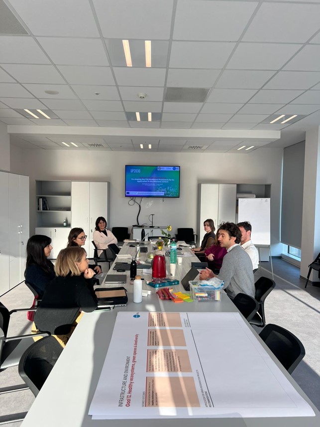 Co-shaping the City Resilience Framework with Resilient Cities Network and the City of Milan