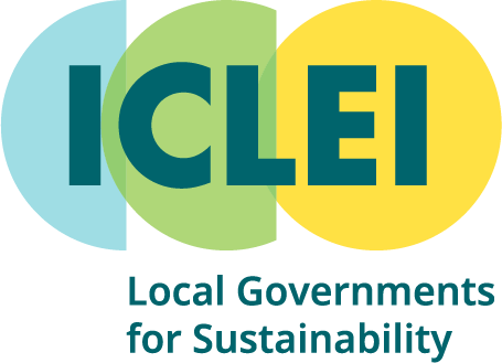 P12_ICLEI